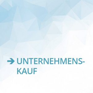UNTERNEHMENSKAUF