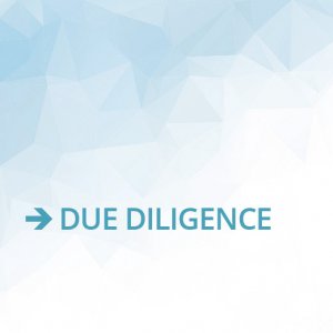 DUE DILIGENCE